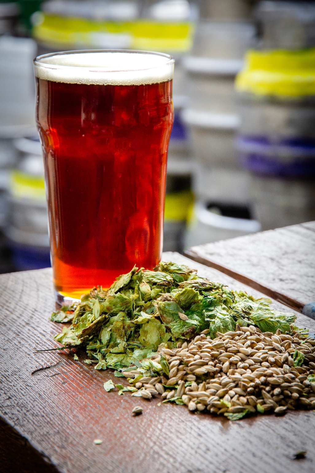 A photo of a pint of Chaucer surrounded by Challenger hops and ale malt from Crisp maltings.