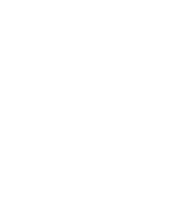 Deep Fried Brie, Bungay, Suffolk, logo