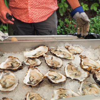 John 'the Boss' Shannahan serving up fresh osyters as part of the Green Dragon's annual August oyster bar.